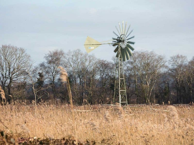 Environment